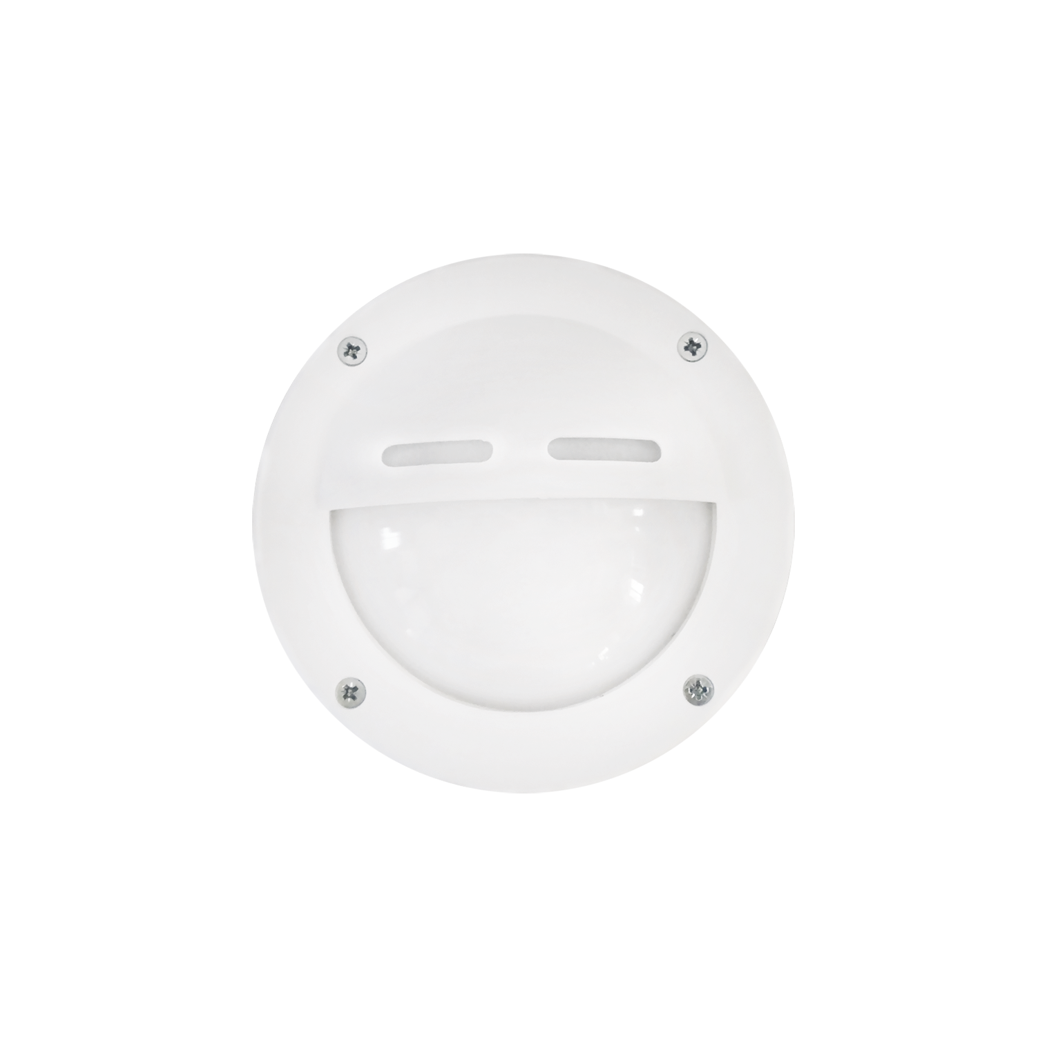 images Φωτιστικό χελώνα SLP-10D WHITE